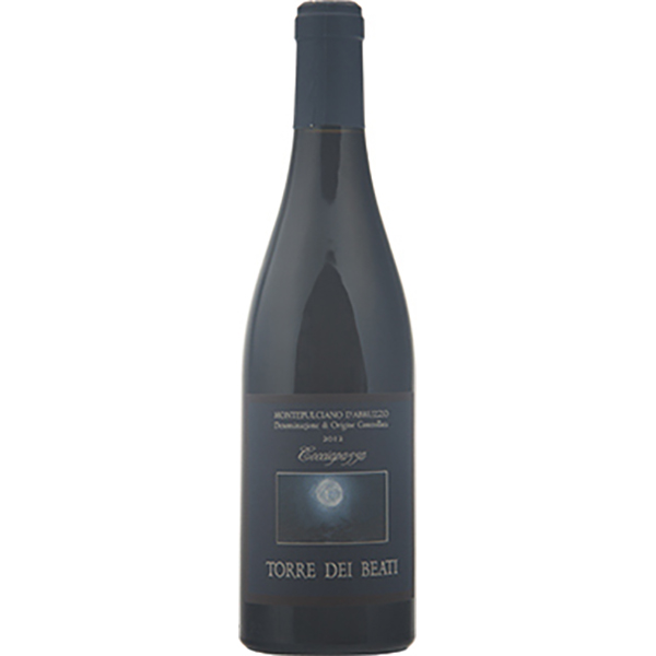 ORG TORRE BEATI COCCIAPAZZA 75